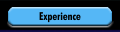 Experience