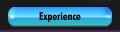 Experience